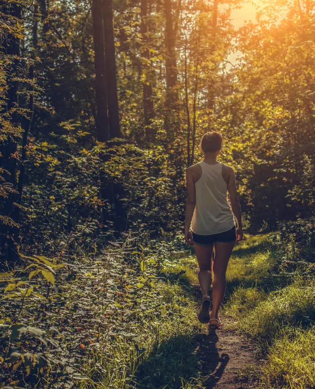 Grow In Grace  Life Mid Life transition counseling 